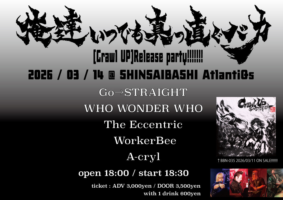 ライブフライヤー